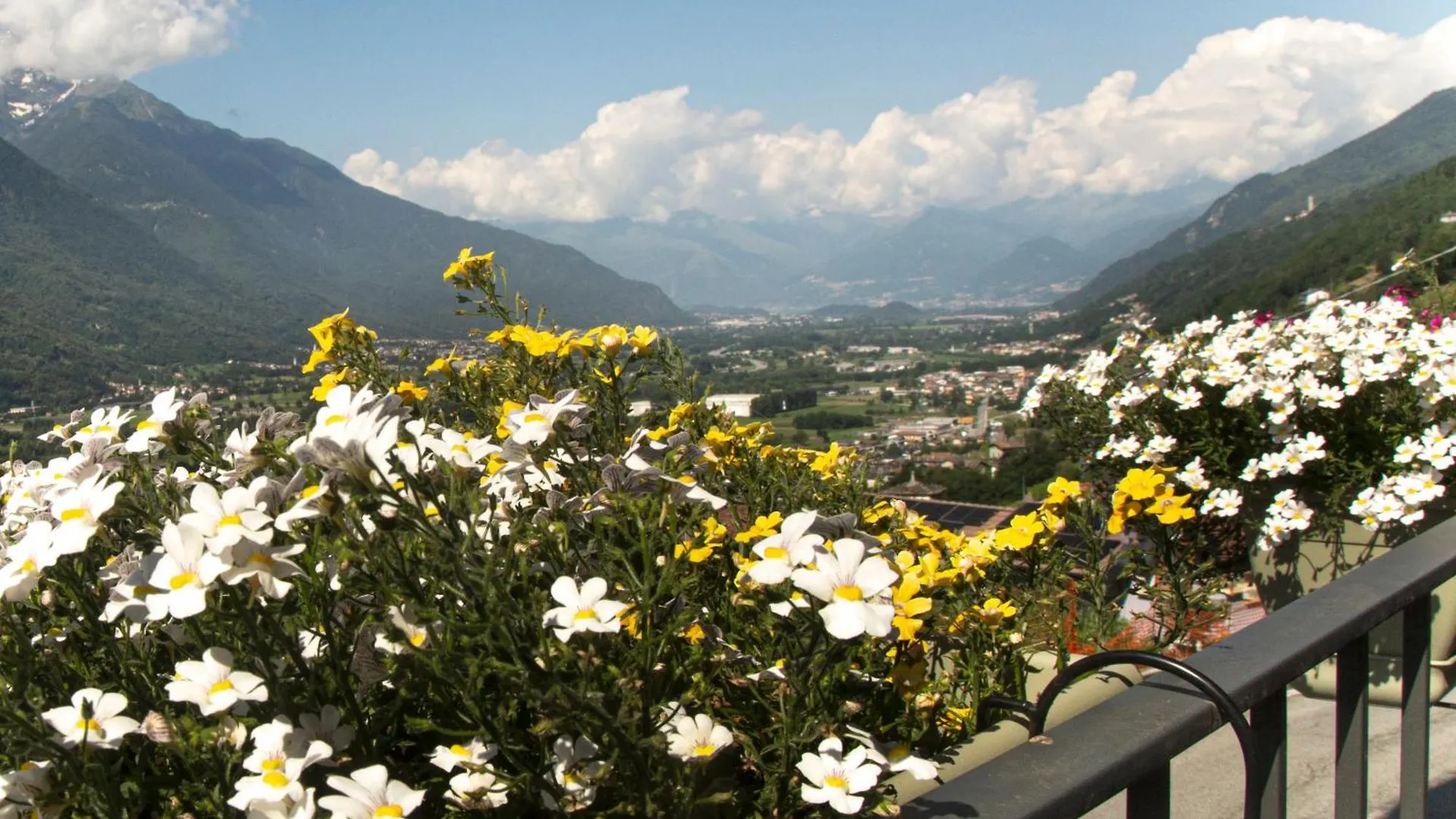 Sabbia Alpina Blue Holiday Home In Valtellina Traona Apartment